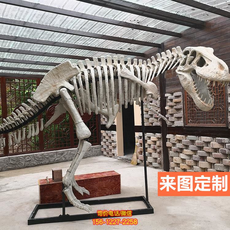 大型全新仿真恐龍骨架骨骼化石玻璃鋼景區博物館恐龍雕塑 大型全新仿真恐龍骨架骨骼化石玻璃鋼景區博物館恐龍雕塑